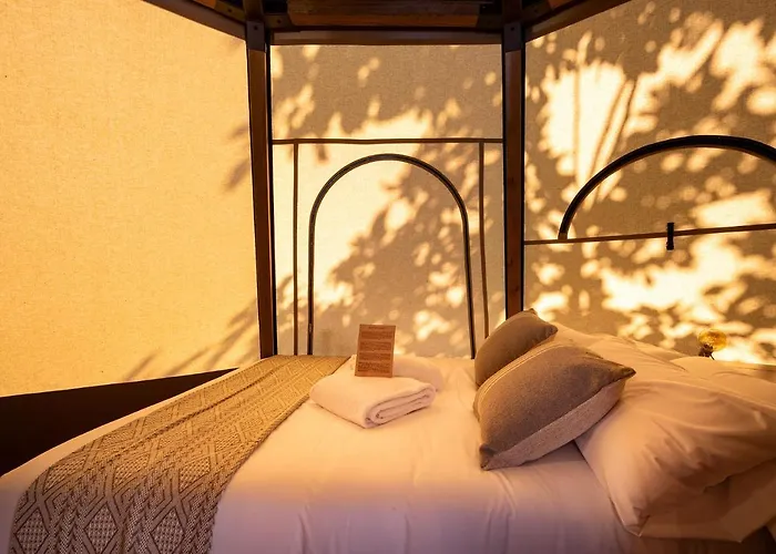 Talaia Plaza Ecoresort Resort